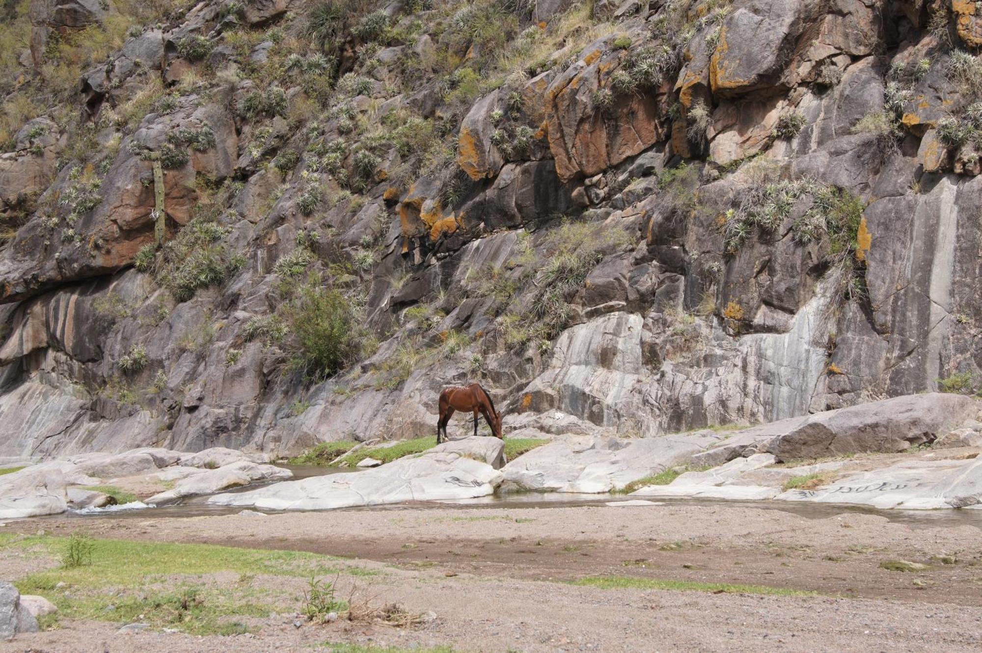 San Agustín de Valle Fértil Altos Del Valle מראה חיצוני תמונה
