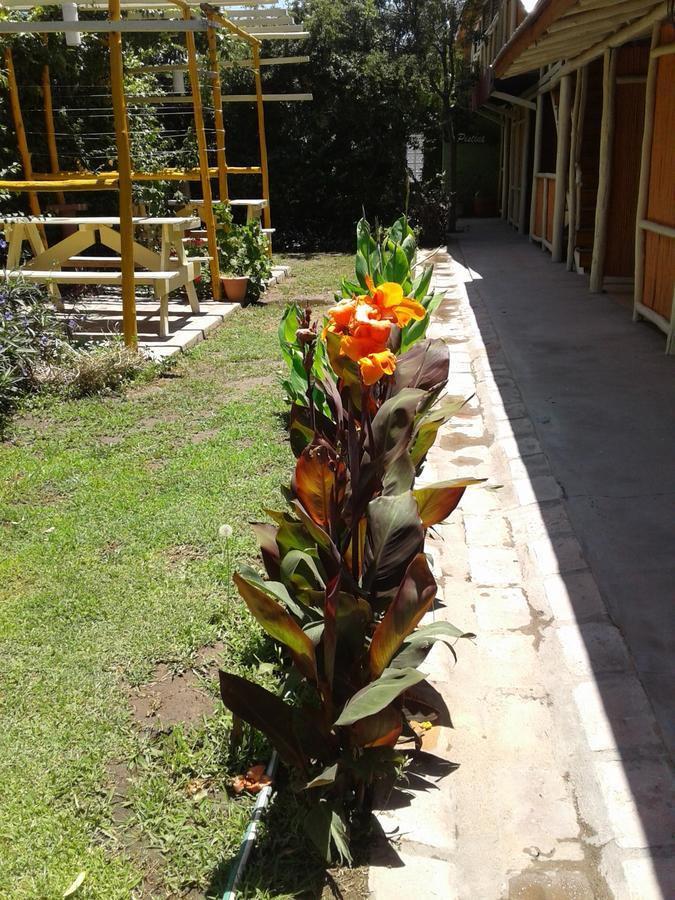 San Agustín de Valle Fértil Altos Del Valle מראה חיצוני תמונה